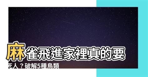 麻雀飛進家裡代表什麼|【麻雀入屋好不好】麻雀飛進家裡真的要死人？破解5種鳥類飛入。